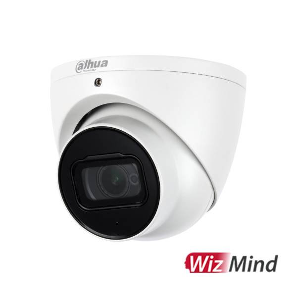 Dahua Wiz Mind Surveillance Cameras