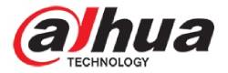 Dahua bullet cameras-CTC Security