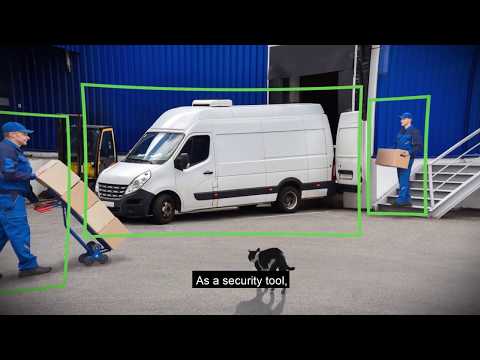 Dahua Smart Motion Detection Video